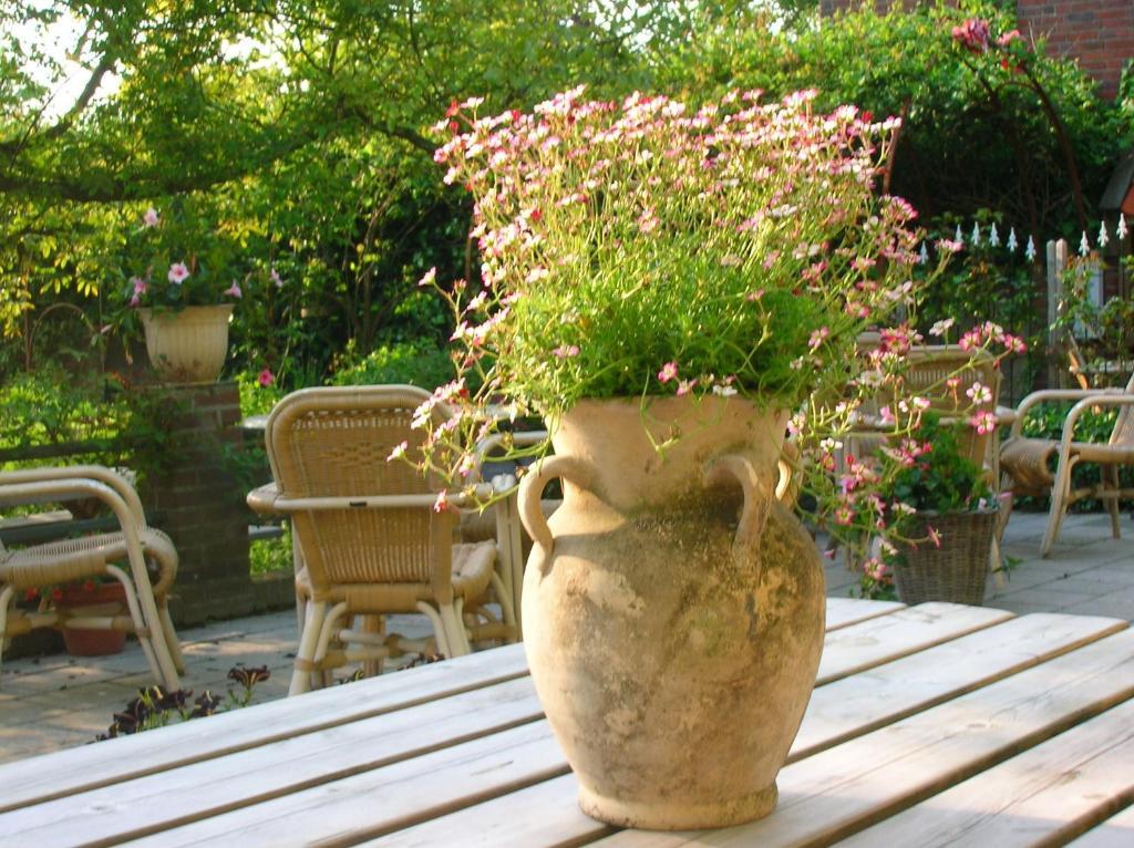 Bed and Breakfast Door & Roos Lottum Exterior foto