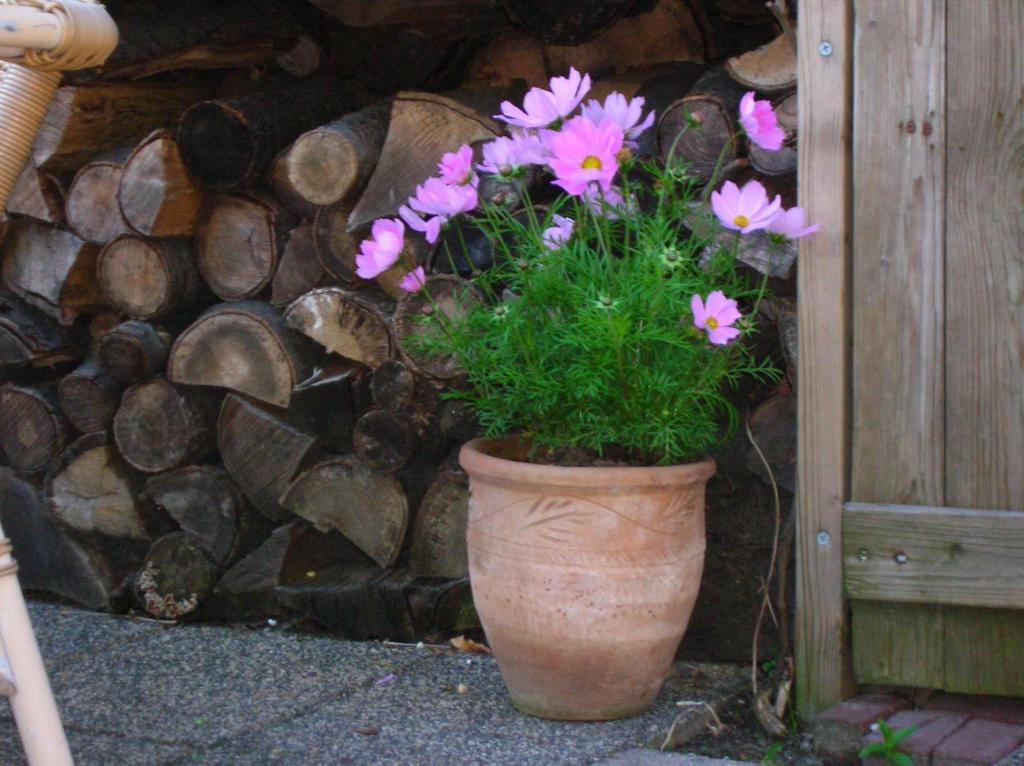Bed and Breakfast Door & Roos Lottum Exterior foto